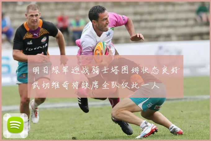明日绿军迎战骑士塔图姆状态良好武切维奇将缺席全队仅此一人