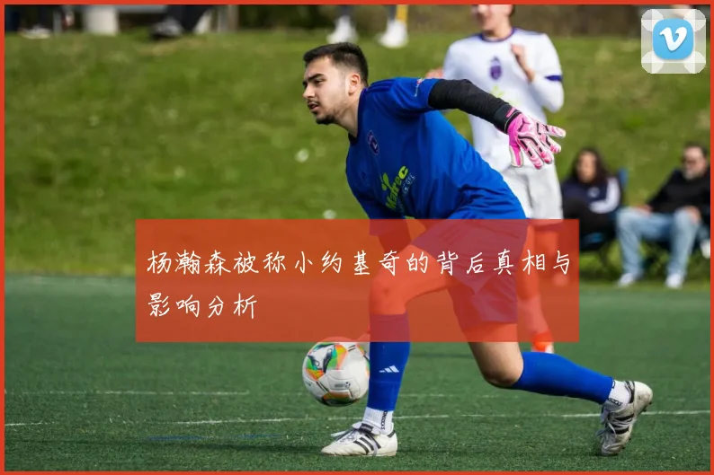 杨瀚森被称小约基奇的背后真相与影响分析