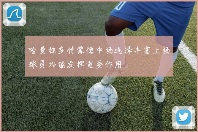 哈曼称多特蒙德中场选择丰富上场球员均能发挥重要作用