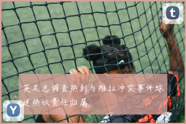 英足总调查热刺与维拉冲突事件球迷热议责任归属
