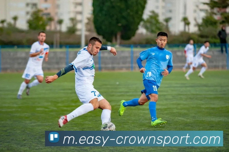 皇冠体育平台生态图